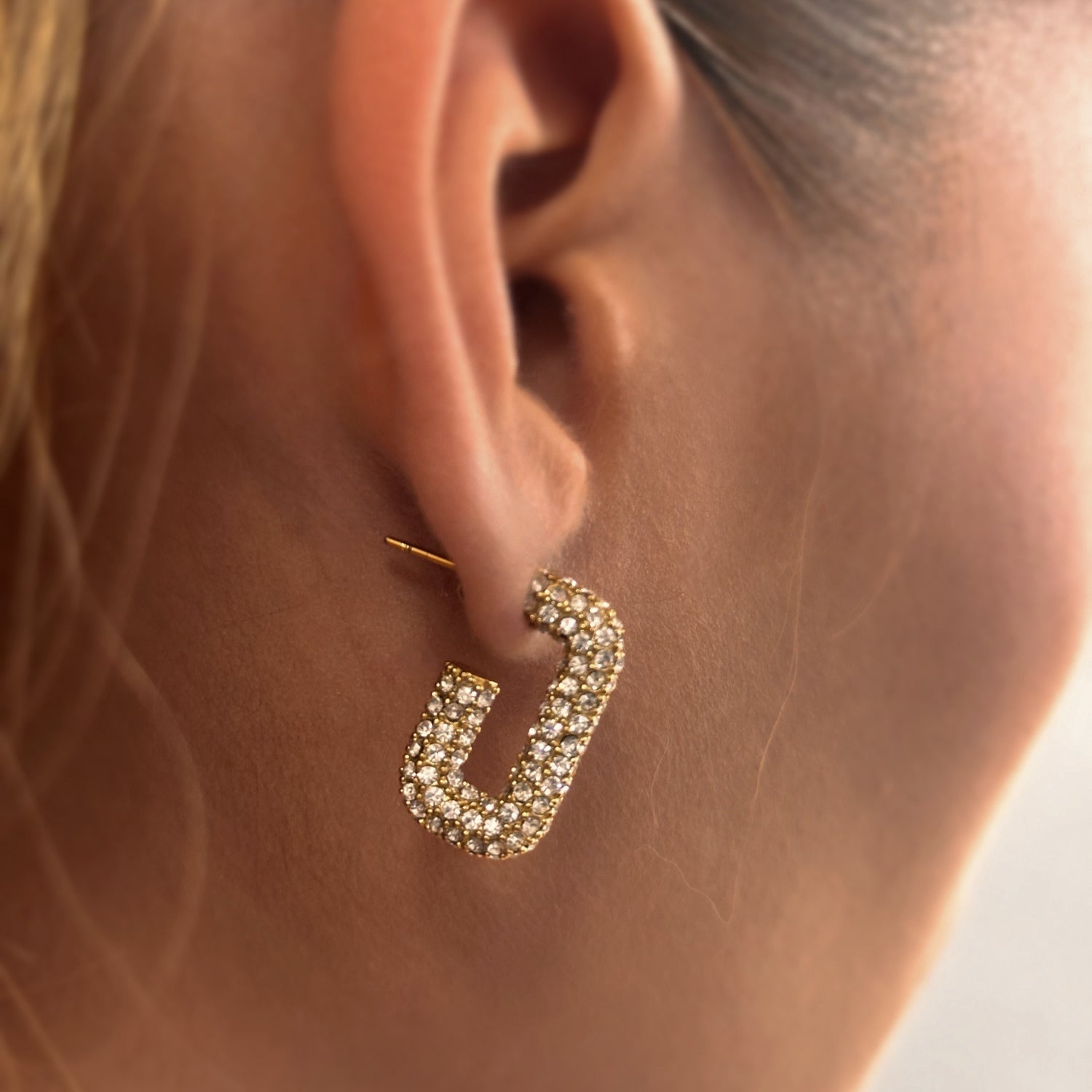 Ariccia Pave Earrings
